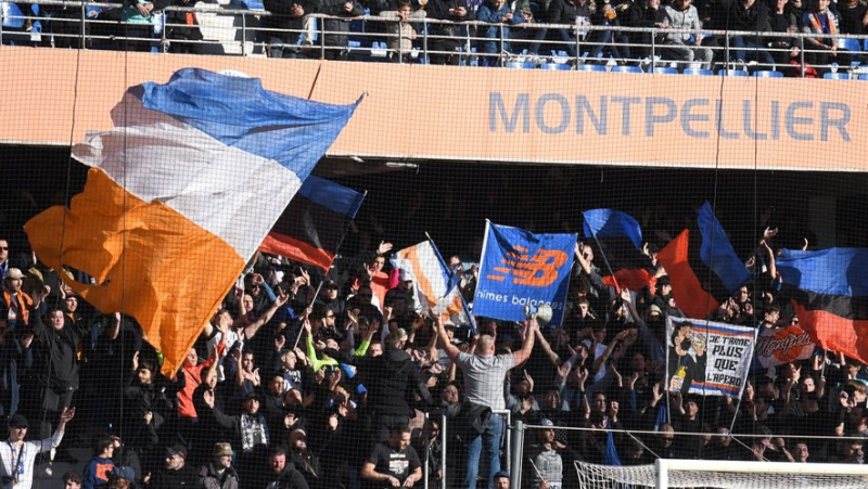 “No break with the coach”: the Ultras call for “general mobilization” behind the MHSC