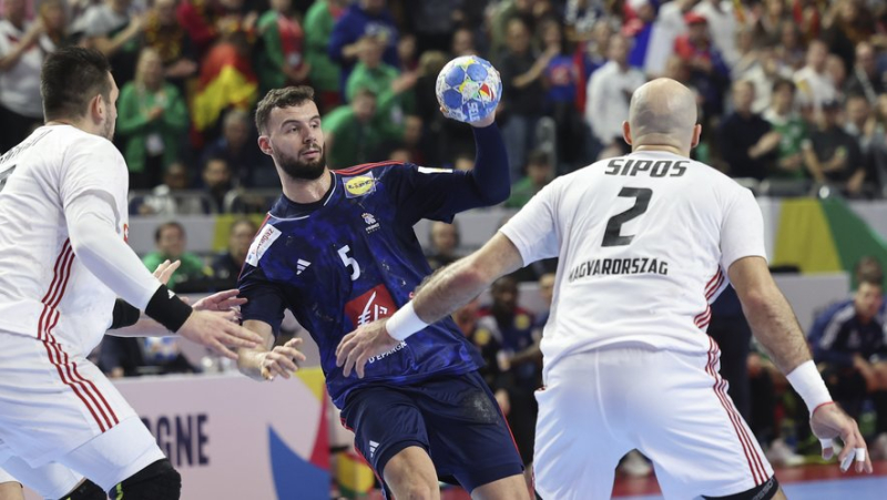 Euro handball 2024: the Blues remove the Hungarian obstacle and will challenge Sweden in the semi-final