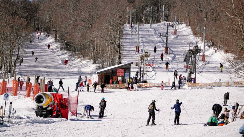 The case: is the Cévennes National Park slowing down the economic development of the Alti Aigoual ski resort ?