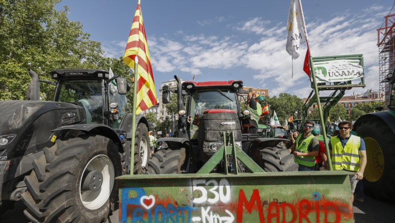 “European standards are suffocating us”: in Spain, an agricultural world also in the midst of a crisis