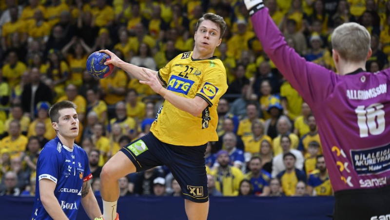 Euro 2024 handball: a decimated MHB with nine players summoned for the competition