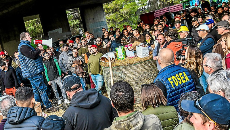 Anger of farmers in Nîmes: “For all those who want it this evening, it’s Operation Cobra!”