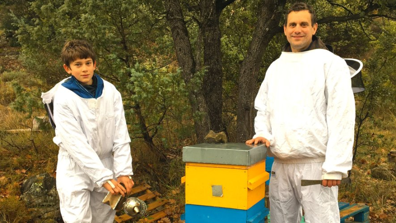 Alès: bees and flowers... with a whole program to safeguard nature