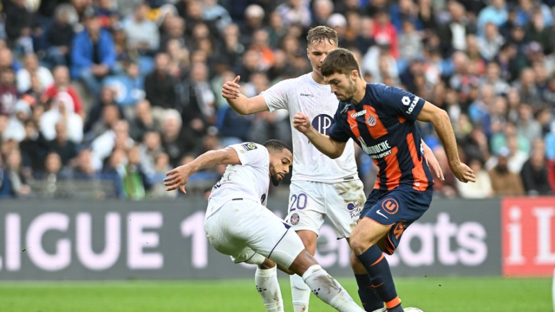 Amiens - MHSC: Montpellier counts on its recruit and ten absentees for the Coupe de France match