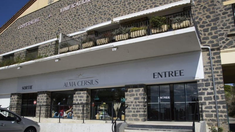The Alma Cersus cooperative cellar, from Cers and Portiragnes, fined €50,000