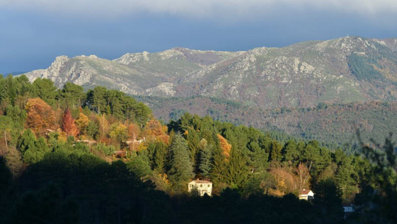 Meetings for responsible development of the Cévennes destination