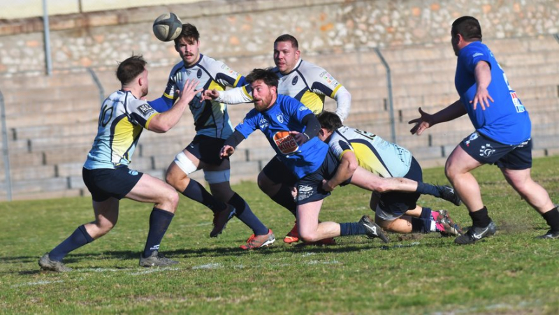 Rugby union: RC Sète falls with honors in the Isle arena