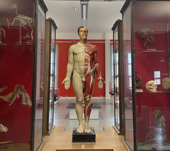 Go behind the scenes of the Montpellier medical school