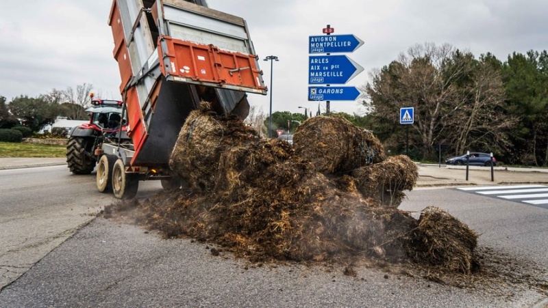 Les agriculteurs alésiens manifestent à Nîmes