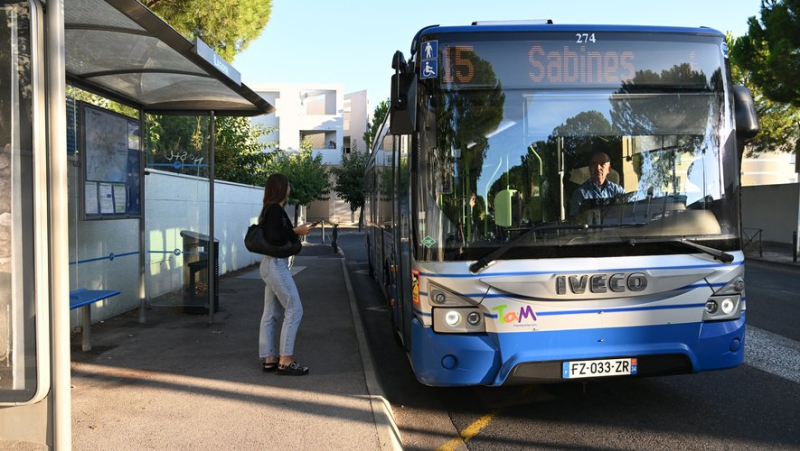 Reinforced bus line 15: all changes to the network in Montpellier from this Monday