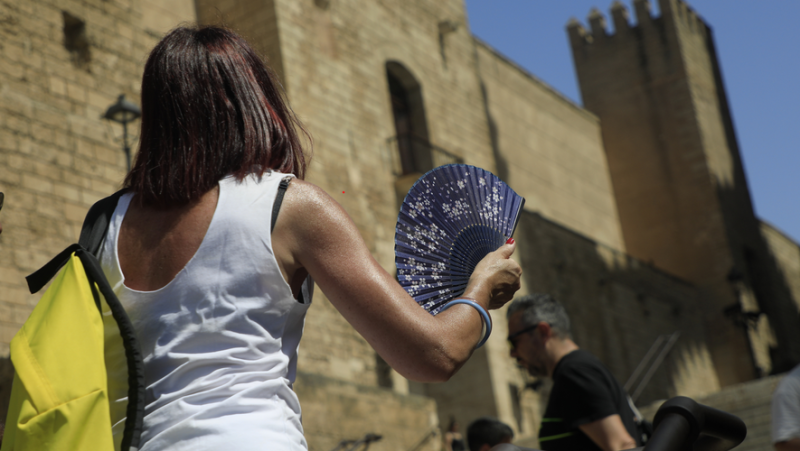 Up to 30° C in Spain: scientists are concerned about the heat wave hitting the country in the middle of winter