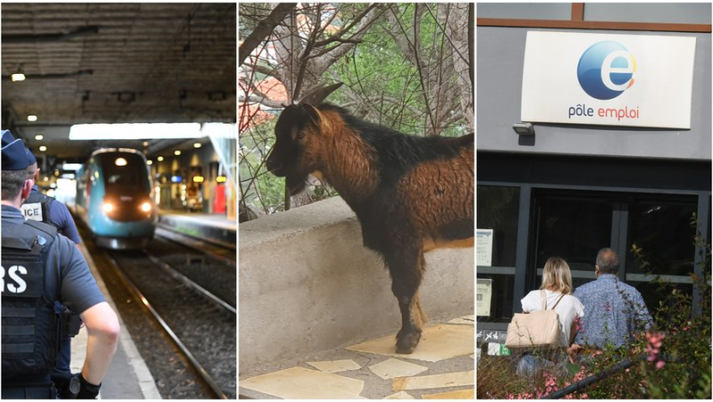 A teenager mowed down by a train, a goat on the loose, unemployment on the rise... the main news in the region