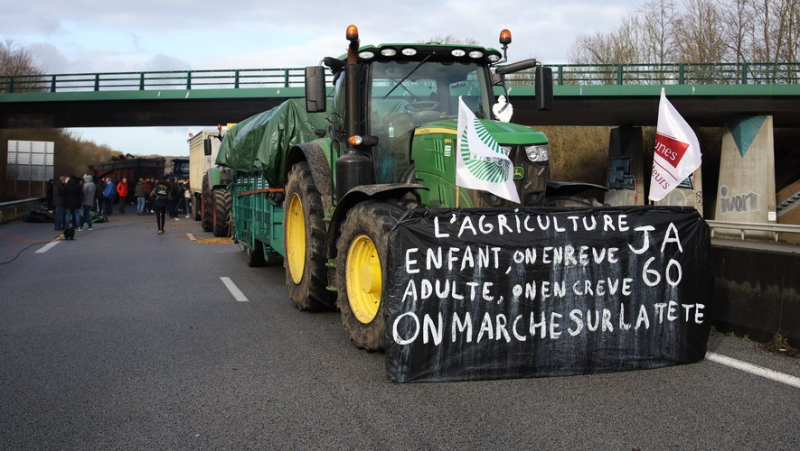 Angry farmers: “It will be a total blockade”, what are the demonstrators planning this Monday ?