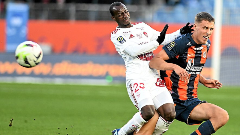 Ligue 1: popular audiences, family club, new stadiums, Der Zakarian and Dall&#39;Oglio on their benches... Montpellier and Brest discover a new rivalry