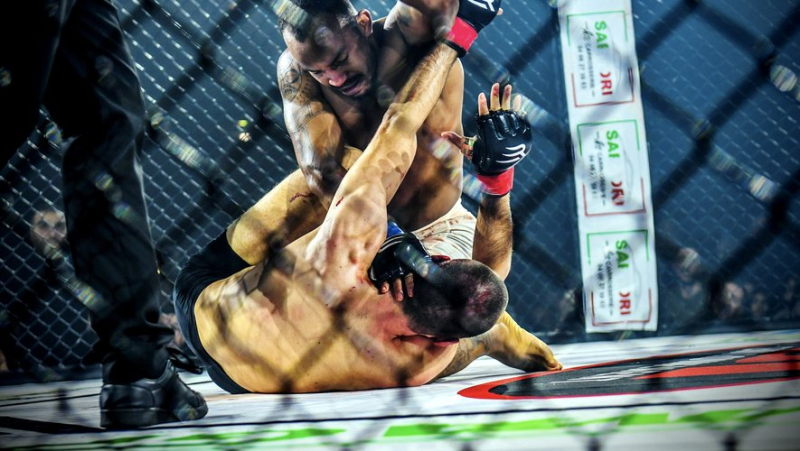 Arts martiaux : au Parnasse, le MMA est sorti de la cage