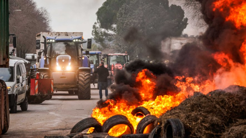 Peasant anger flares: in Nîmes, angry farmers block mass distribution depots