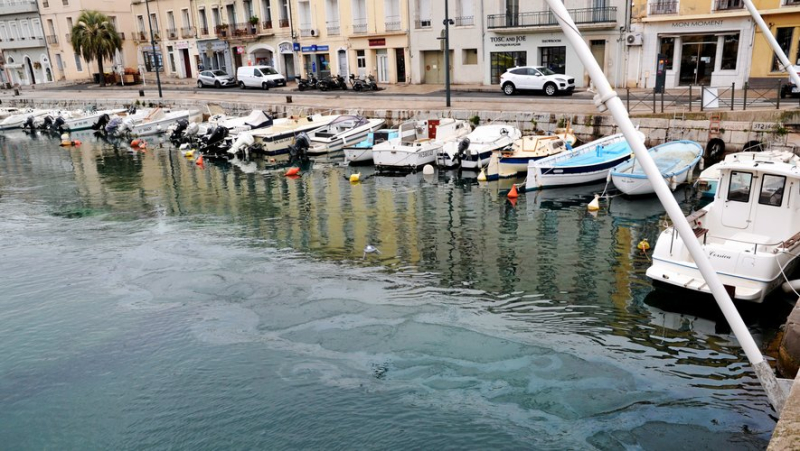 Pollution in the Sète canal: a meeting planned to find solutions to the problems of oil slicks