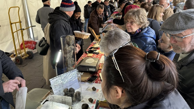 In Uzès, huge crowds at the traditional truffle market