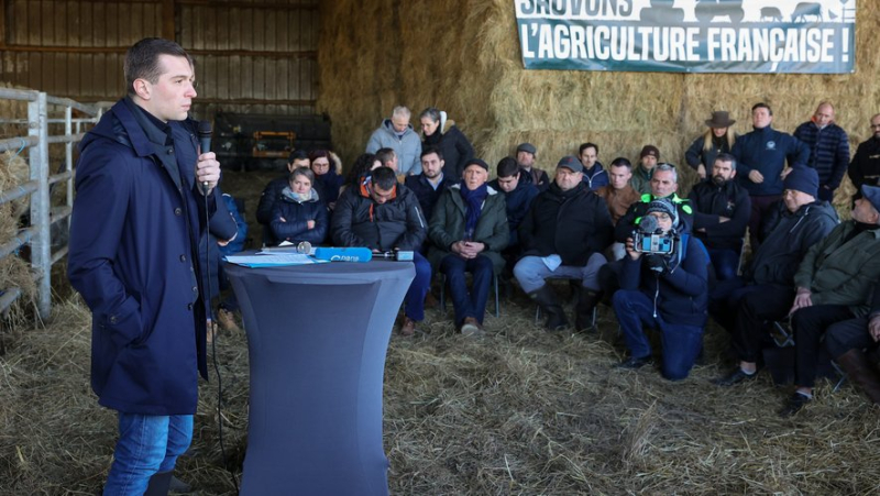 How the far right hopes to profit from the anger of farmers across Europe