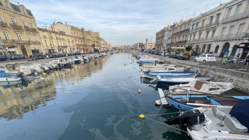 “We try to be reactive”, “we put in the means”… the Port of Sète reacts to oil pollution
