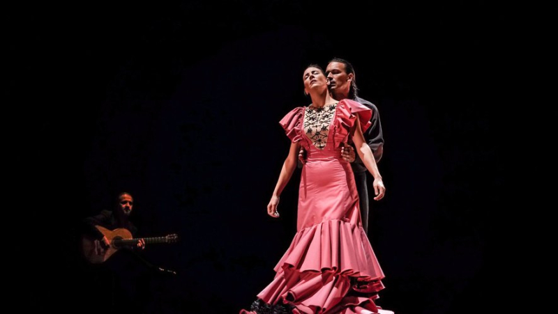 At the Nîmes Flamenco Festival, Lucía Álvarez La Piñona dances the self-portrait of an insatiable artist
