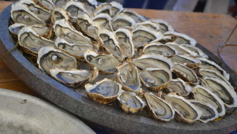 Norovirus poisoning: after a month of ban, Arcachon oysters authorized again