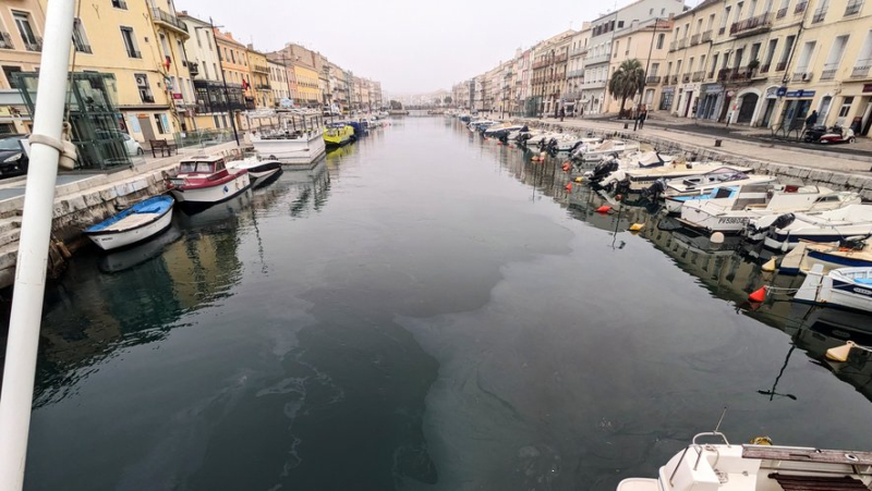 Pollution dans le canal de Sète : la nappe d'hydrocarbure présente pour le troisième jour consécutif