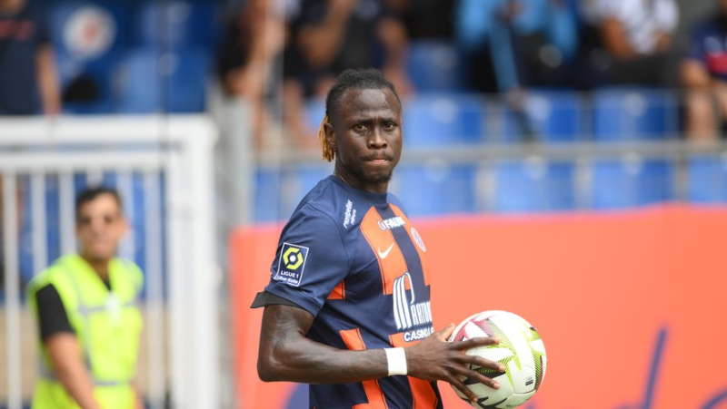 MHSC: the Africans on their way back, before the round of 16 of the Coupe de France against Nice