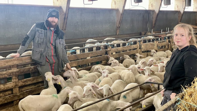 Setting up in agriculture: Klara Meyer and Alexy Julien, their first steps as breeders in Valdonnez