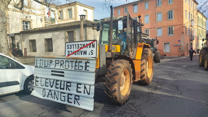 Farmers&#39; blockades: 50 tractors positioned in front of the Lodève sub-prefecture, access to the city center impossible