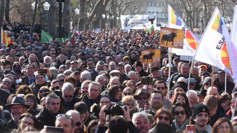 On February 11, 2023, 13,000 people marched for rurality in Montpellier: what remains of the mobilization one year later ?