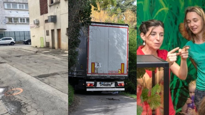 Heavy goods vehicle blocked, tragedy in Nîmes, puppy show canceled... the essential news in the region