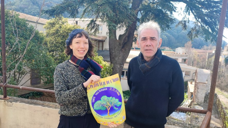 In Lodève, the Little Tree Festival is approaching and getting closer to its historic formula