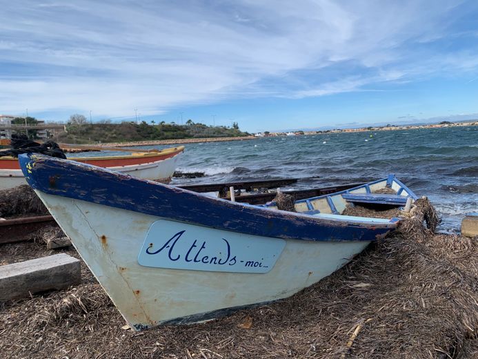 “Sailing means maintaining maritime heritage”: in Sète, the Latin Sails perpetuate marine craftsmanship with passion