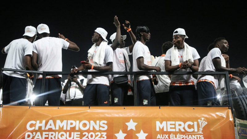 African Cup of Nations: houses, distinctions, bonuses... discover the rewards granted to the Ivorians