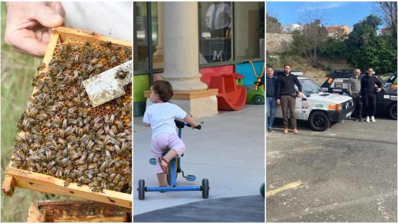 Fear of bees, limited access to nurseries, Panda raid... the main news in the region