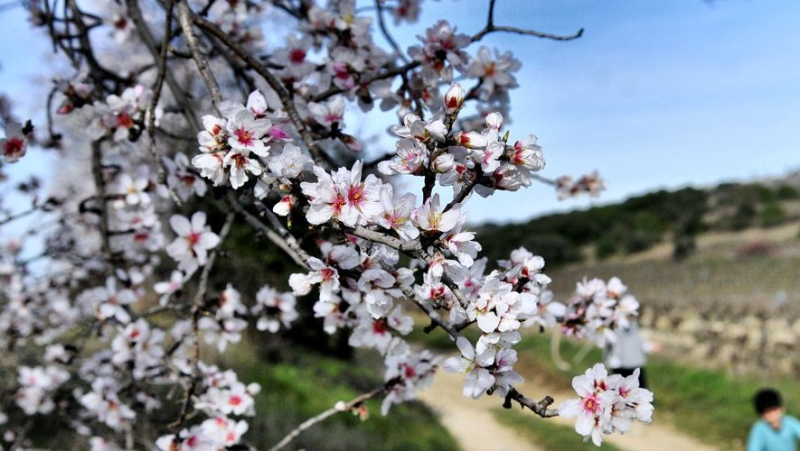 Exceptional softness: the month of February should be the 25th in a row above standards in France