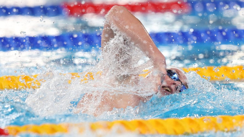 Swimming Worlds: Montpellier David Aubry bronze medalist in 1500m freestyle
