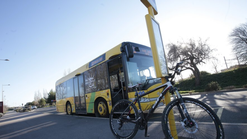 Cash bonus for bus drivers in the Agglo de Sète, new victory in court against Kéolis