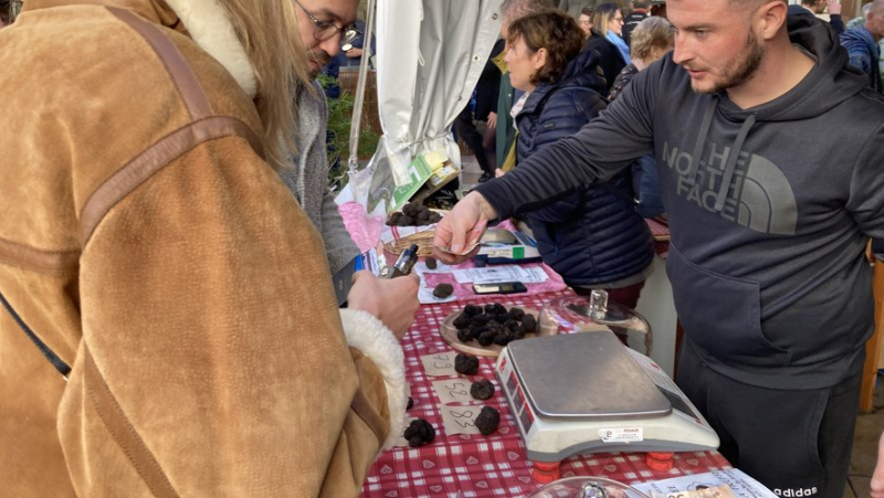 After Nîmes, the truffle is coming to Saint-Quentin-la-Poterie next weekend