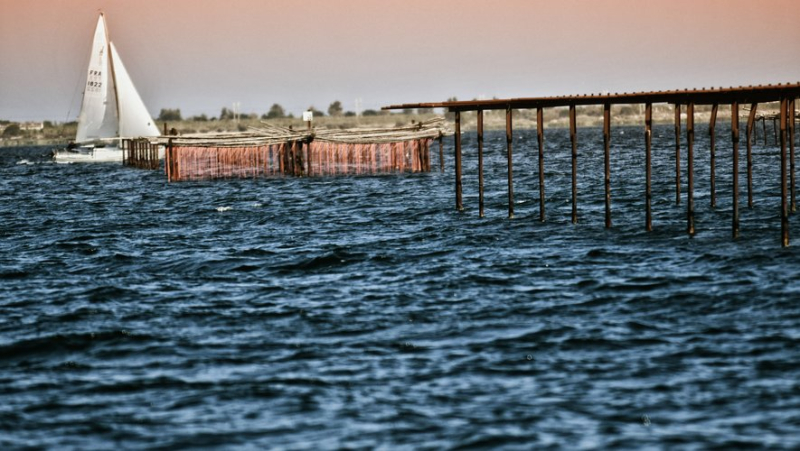 Tour of the Etang de Thau: the idea of ​​a “Coastal Path” is gaining ground