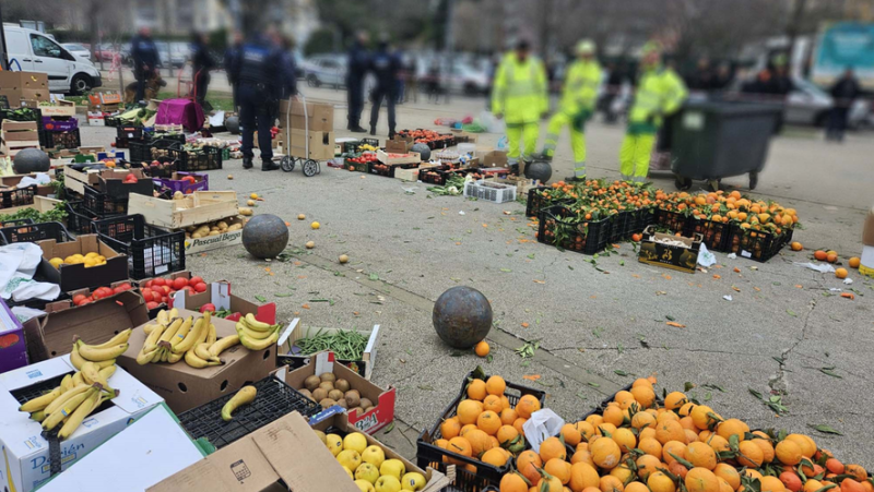 La Mosson wild market: more than 5 tonnes of food collected and donated to the Hérault Food Bank