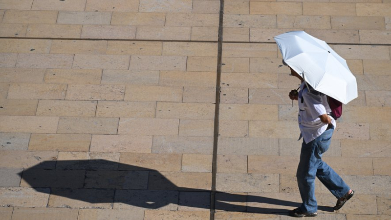 Heat killed more than 5,000 people in France from June to September 2023, the fourth hottest summer of the 20th century