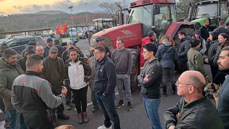 Agricultural crisis: The demonstration of force of the farmers of Lodévois and Larzac
