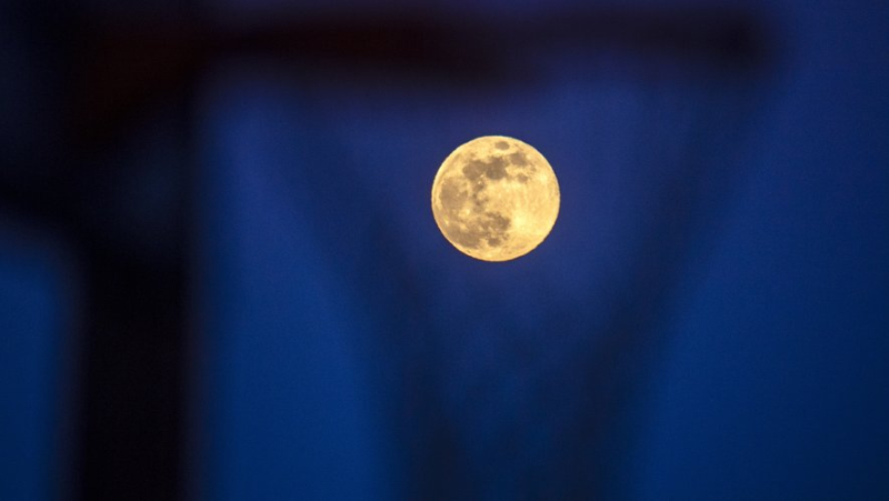 Full Snow Moon: what is this astronomical phenomenon happening this Saturday and how to observe it ?
