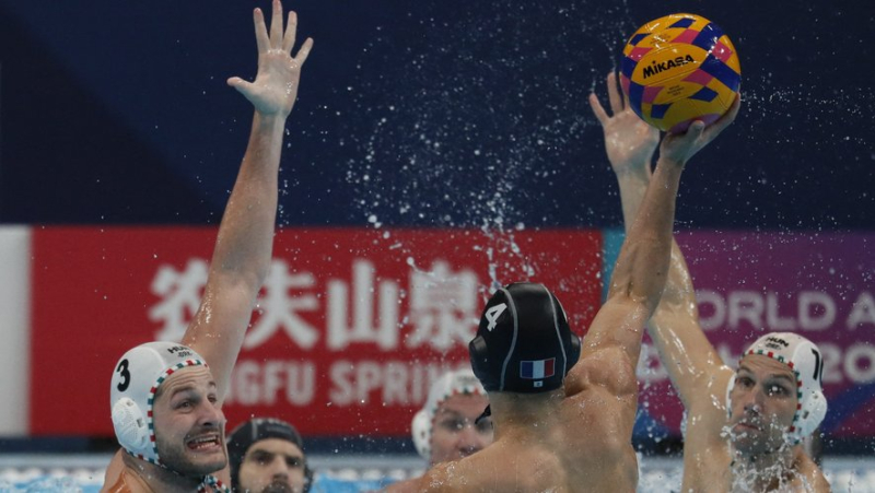 Water polo: the Blues fall with arms in hand at the gates of the final, against Croatia, and will now aim for bronze