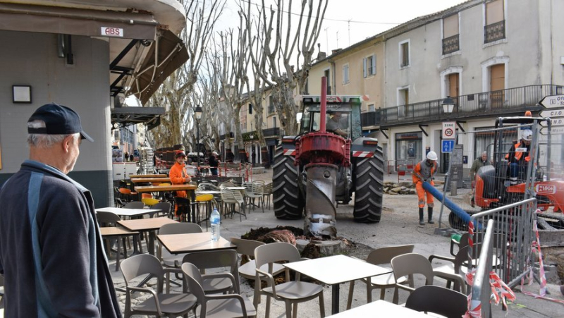 Lunel: the remains of diseased plane trees erased from the landscape in one day