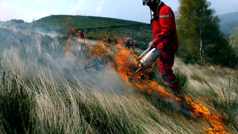 The French forest defense center against fires organizes training on eco-burning