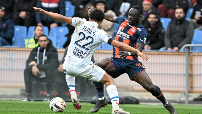 Ligue 1: Adams and Nordin on the return, Jullien towards a package with the MHSC for the reception of Lyon