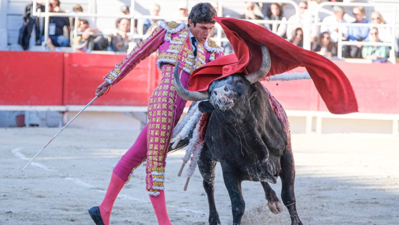 Cartels of prestige and balance for the Arles feria